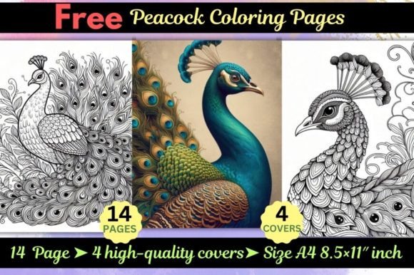 Free Peacock Coloring Pages: A Practical Asset for Structured Creativity and Professional Workflows