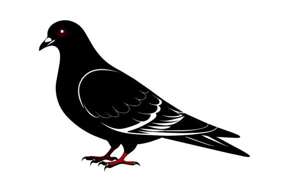 Pigeon Silhouette Vector Design: A Practical Asset for Creative Workflows