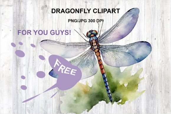 Watercolor Dragonfly Artwork: Practical Ways Creators Use It in Real Projects